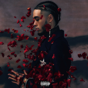 xxxxx黄色毛毛片
