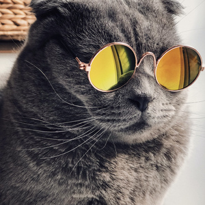 xxxxx黄色毛毛片
