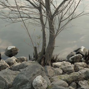 xxxxx黄色毛毛片
