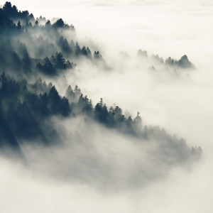 xxxxx黄色毛毛片
